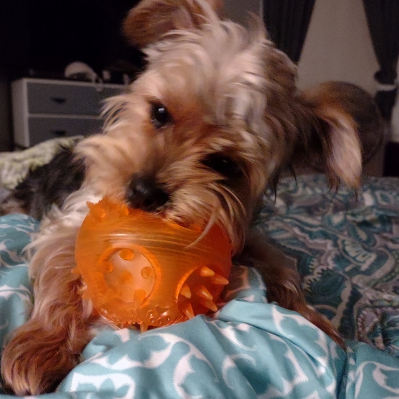 Hi!! I am Amanda. - Picture 2 of 3